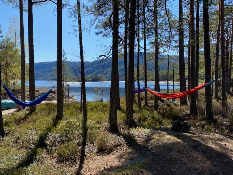 Sinesoyni In Byglandsfjord - Evje别墅 外观 照片